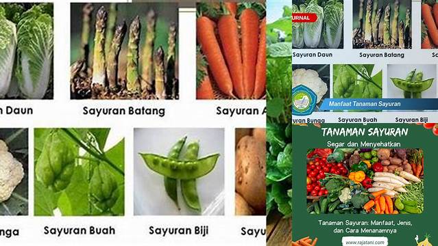Temukan Manfaat Sayuran yang Jarang Diketahui, Anda Harus Tahu!