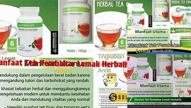 Manfaat Teh Pembakar Lemak Herbalife: Temukan Rahasia Langka yang Jarang Diketahui