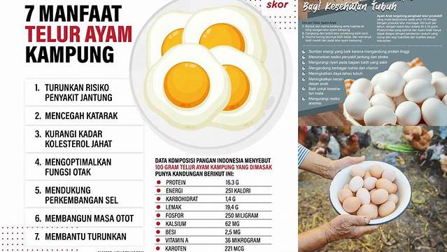 Temukan 10 Manfaat Telur Ayam untuk Kesehatan yang Jarang Diketahui