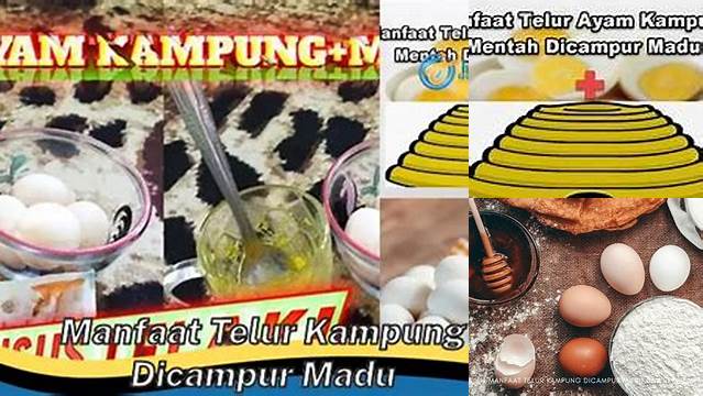 Temukan Manfaat Telur Kampung Dicampur Madu yang Jarang Diketahui