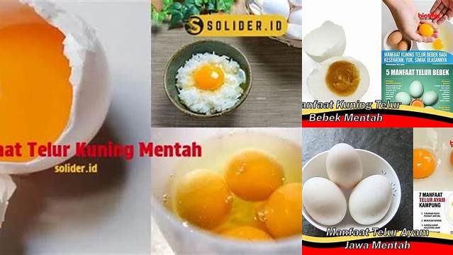 Temukan Manfaat Telur Kuning Mentah yang Jarang Diketahui