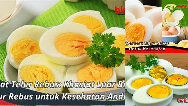 9 Manfaat Telur Rebus yang Jarang Diketahui