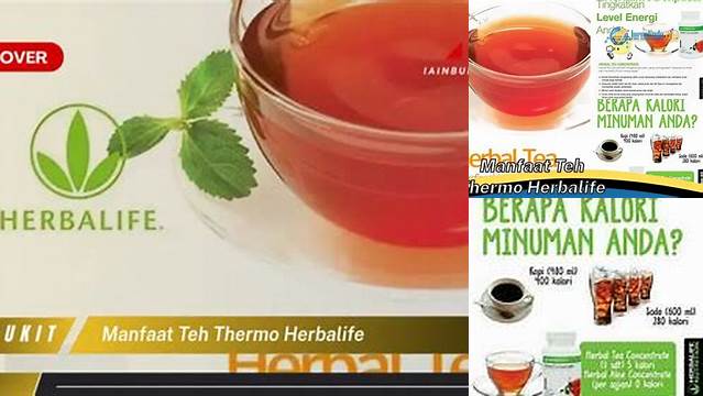 Temukan Manfaat Thermo Herbalife yang Jarang Diketahui yang Perlu Anda Ketahui