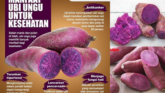 Temukan Manfaat Ubi Ungu yang Anda Perlu Tahu