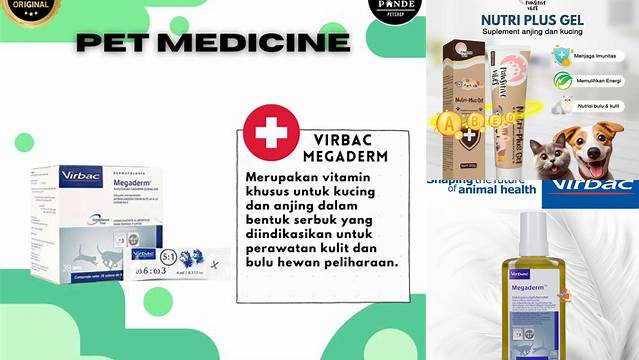 Temukan Manfaat Vitamin Virbac untuk Kucing yang Jarang Diketahui