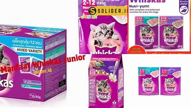 Temukan 10 Manfaat Whiskas Junior yang Jarang Diketahui