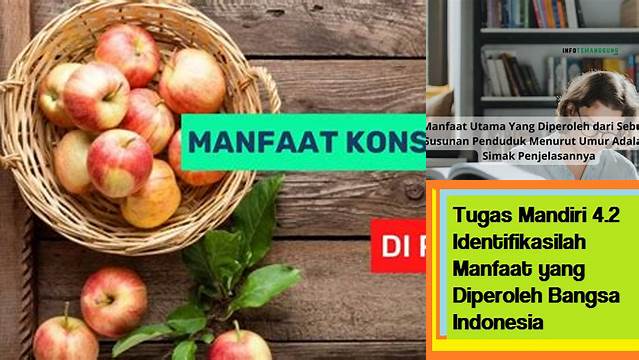 Temukan Manfaat yang Perlu Anda Ketahui