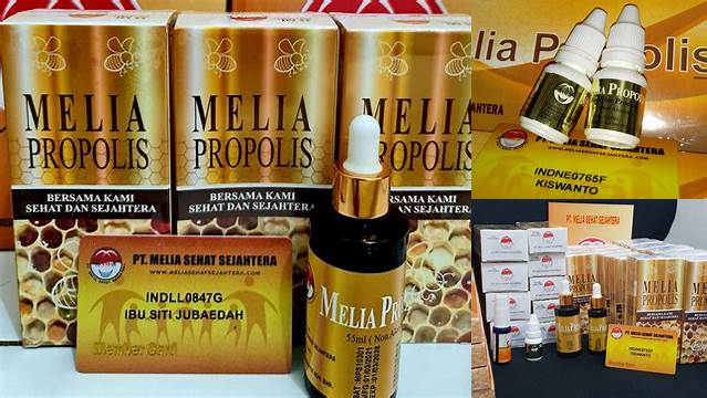 Temukan Berbagai Manfaat Propolis Lebah Melia yang Jarang Diketahui
