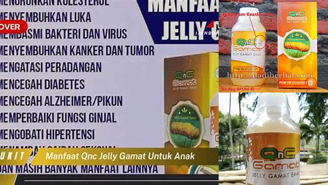 Manfaat QnC Jelly Gamat yang Jarang Diketahui