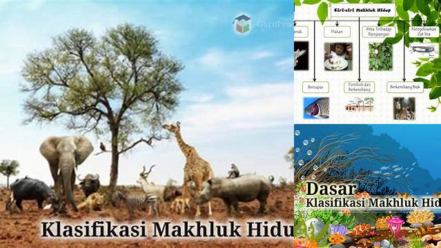 Temukan 10 Manfaat Klasifikasi Makhluk Hidup yang Jarang Diketahui