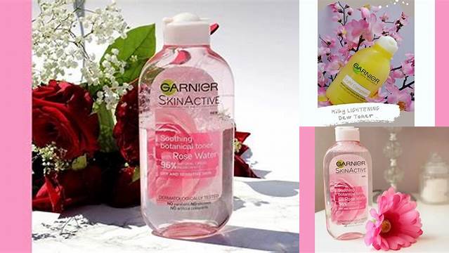 Temukan 8 Manfaat Toner Garnier yang Jarang Diketahui