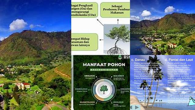 Temukan Manfaat Danau yang Jarang Diketahui untuk Hidup Manusia