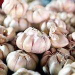 apa manfaat bawang putih untuk pria