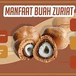 apa manfaat buah zuriat