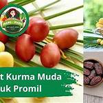 apa manfaat kurma muda