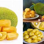 apa manfaat nangka