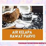 manfaat air gula merah untuk kucing