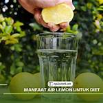 manfaat air lemon untuk diet