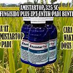 manfaat amistartop untuk padi