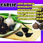 Temukan Manfaat Bawang Hitam Lanang yang Jarang Diketahui