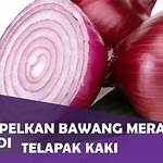 manfaat bawang merah di telapak kaki