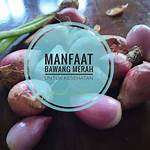 manfaat bawang merah untuk kesehatan