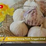 manfaat bawang tunggal untuk pria