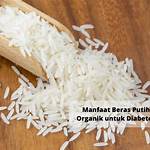 manfaat beras organik putih