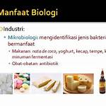 manfaat biologi di bidang industri