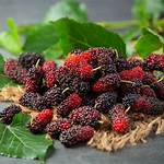 manfaat buah raspberry
