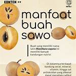 manfaat buah sawo