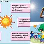 manfaat cuaca panas bagi manusia