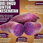 manfaat dan efek samping ubi ungu