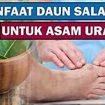 manfaat daun salam untuk asam urat