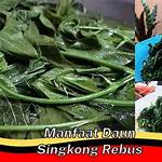 manfaat daun singkong rebus