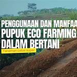 manfaat eco farming