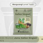 manfaat galian singset