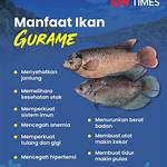 manfaat ikan gurame