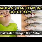 manfaat ikan kembung untuk bayi