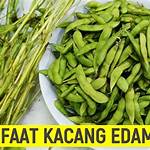Unveil the Benefits of Edamame Beans: Discoveries You Need to Know