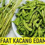 manfaat kacang edamame