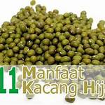 manfaat kacang ijo