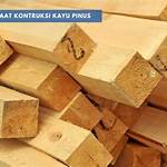 manfaat kayu pinus