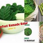 manfaat kemade kelor