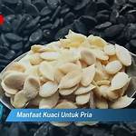 manfaat kuaci untuk pria