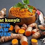 manfaat kunyit untuk ayam