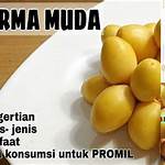 manfaat kurma muda untuk pria