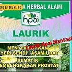 manfaat laurik hpai