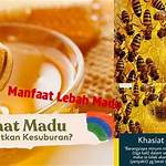 manfaat lebah madu