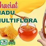 manfaat madu hni